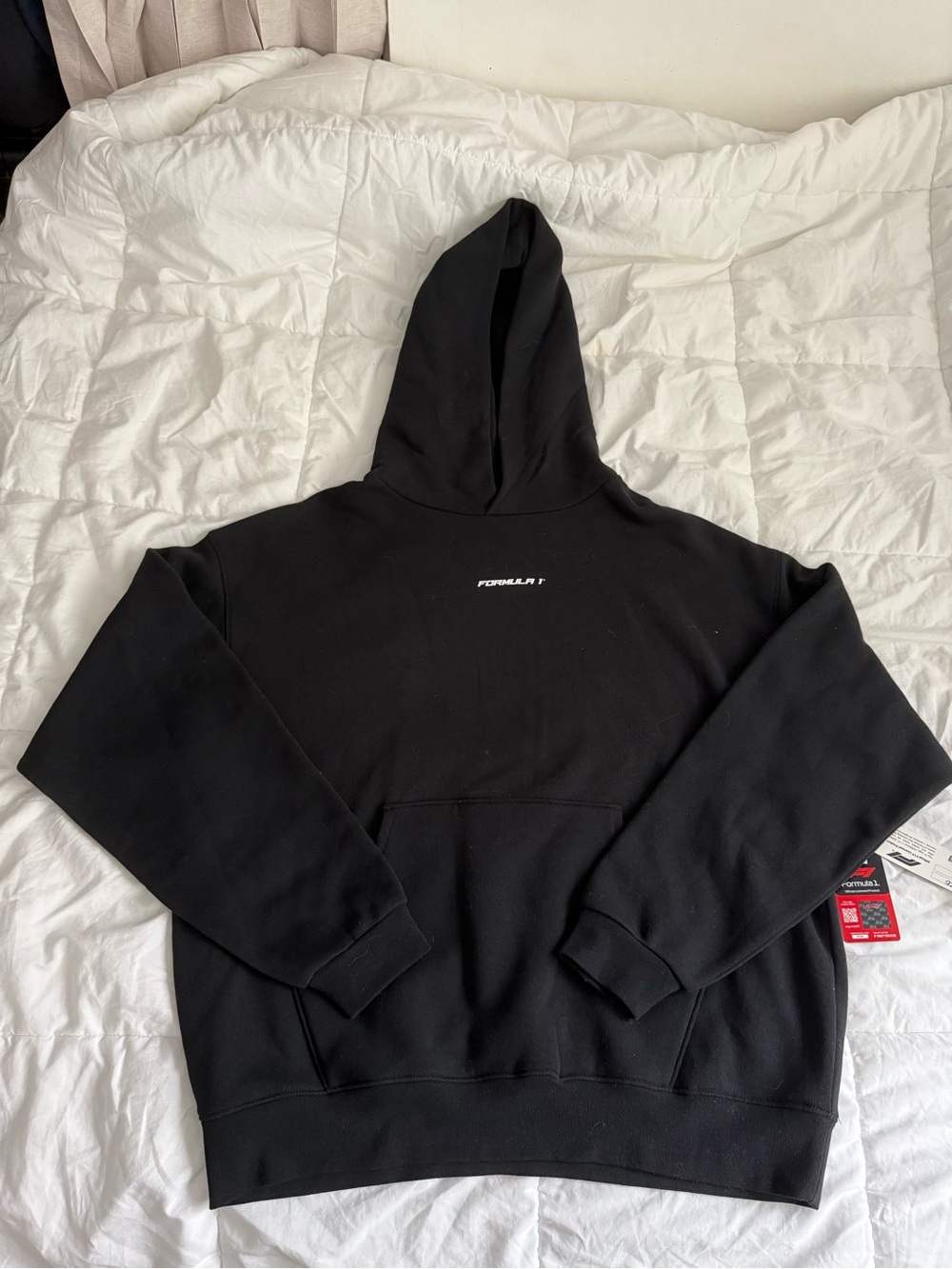 PacSun Formula 1 Official Licensed Hoodie Size L